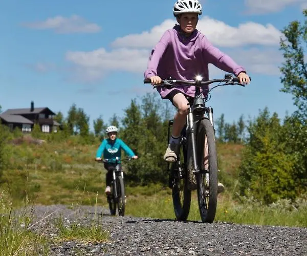 Oset Fjellhotell 4* גול