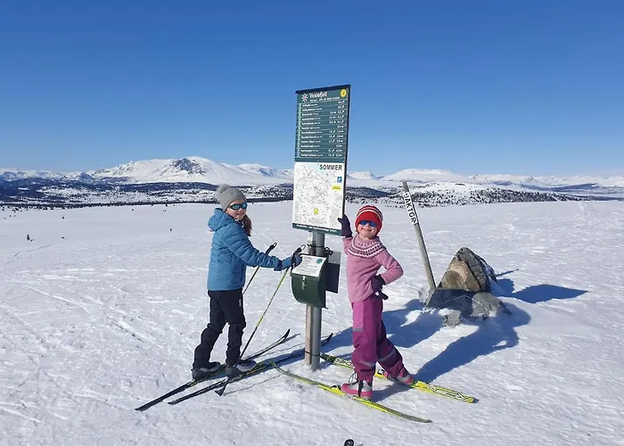 Hotel Oset Fjellhotell 4*