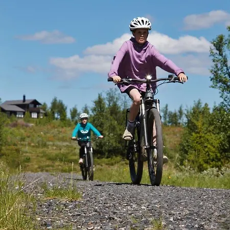 Oset Fjellhotell 4* Gol