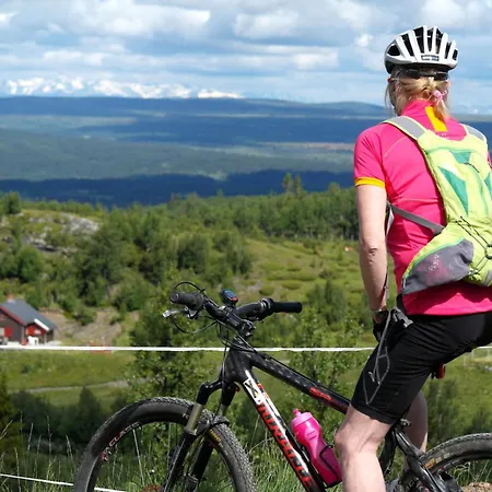 Oset Fjellhotell 골